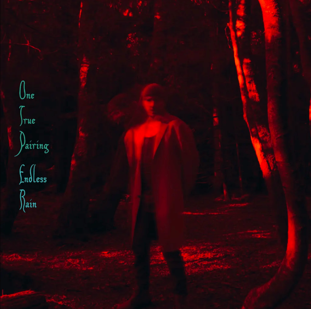 Her er den nye solo single fra Tom Fleming (Wild&nbsp;Beasts)